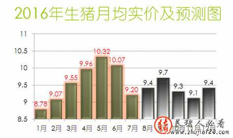 “猪周期”顶峰已过 但仍在高峰期或延长到元旦