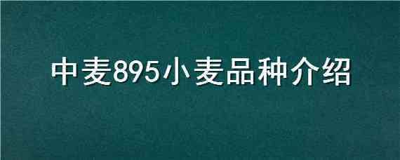 中麦895小麦品种介绍 中麦886小麦品种