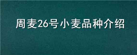 周麦26号小麦品种介绍（周麦26小麦品种简介）