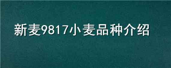 新麦9817小麦品种介绍（1086小麦品种）