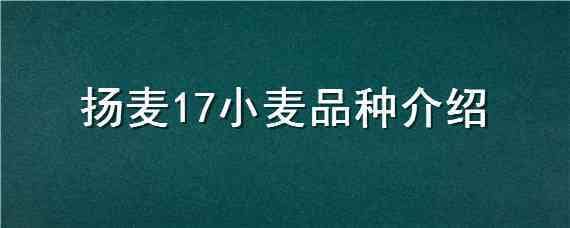 扬麦17小麦品种介绍 扬麦27品种介绍