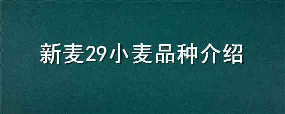 新麦29小麦品种介绍 新新麦26小麦品种介绍