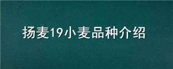 扬麦19小麦品种介绍（扬麦23小麦品种介绍）