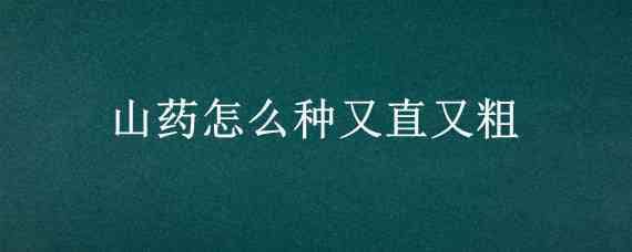 山药怎么种又直又粗 山药怎么种又直又粗黄土