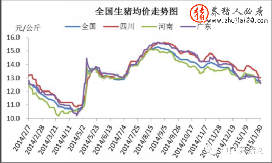 2015年1月国内生猪市场走势（生猪价格历史走势）