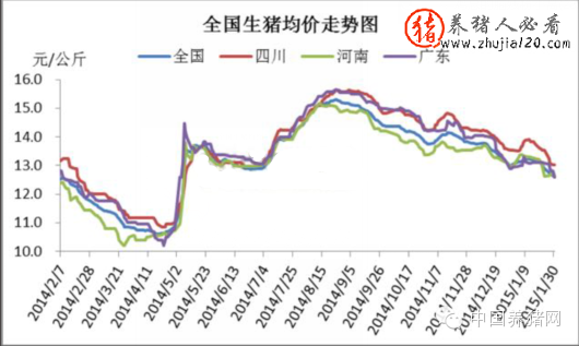 2015年1月国内生猪市场走势（2015年生猪价格走势）