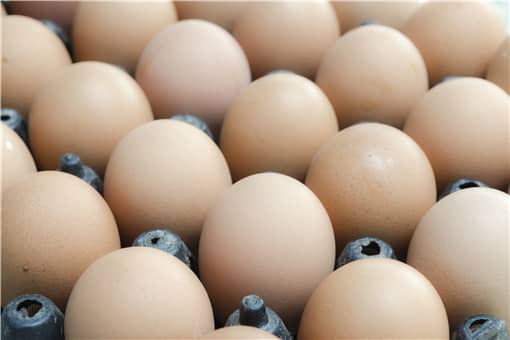 2021全国鸡蛋最新价格行情是怎样的（2021年蛋鸡价格行情）