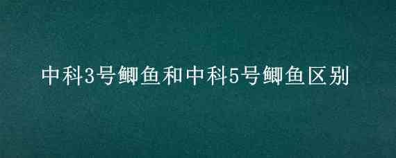 中科3号鲫鱼和中科5号鲫鱼区别 中科5号鲫鱼和三号