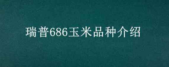 瑞普686玉米品种介绍 瑞普686玉米种子简介