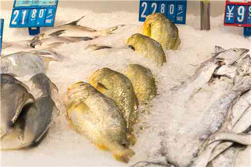 2022年现在大黄鱼价格多少钱一斤（黄鱼多少钱一斤市场价2021）
