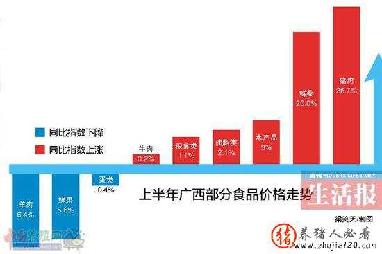 上半年广西猪肉价格上涨26.7% 已连涨15个月