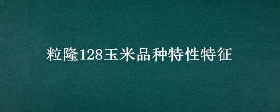 粒隆128玉米品种特性特征 均隆1217玉米种子特性