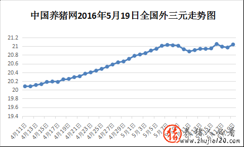 猪价高位调整（猪价调整信息）