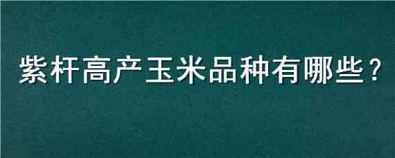 紫杆高产玉米品种有哪些（紫色玉米杆是什么品种）