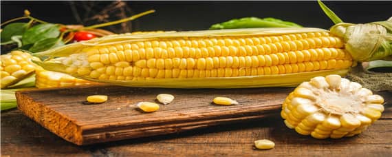 嫩玉米生长期多少天 嫩玉米生长期多少天吃