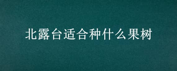 北露台适合种什么果树 适合种植阳台露台的果树品种