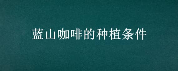 蓝山咖啡的种植条件 蓝山咖啡的生长条件