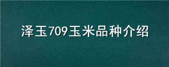 泽玉709玉米品种介绍 天泽709玉米种子简介