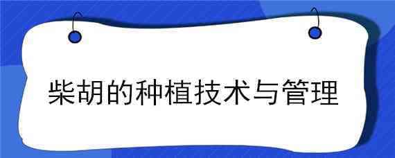 柴胡的种植技术与管理 柴胡的种植技术与管理方法