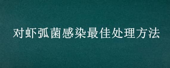 对虾弧菌感染最佳处理方法 对虾感染弧菌怎么处理