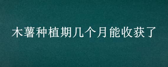 木薯种植期几个月能收获了 什么时候收木薯