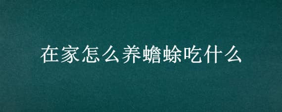 在家怎么养蟾蜍吃什么（在家怎么养蟾蜍吃什么食物）