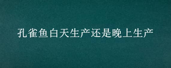 孔雀鱼白天生产还是晚上生产（孔雀鱼一般什么时间生 晚上生吗）