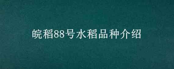 皖稻88号水稻品种介绍（皖稻173号旱稻）