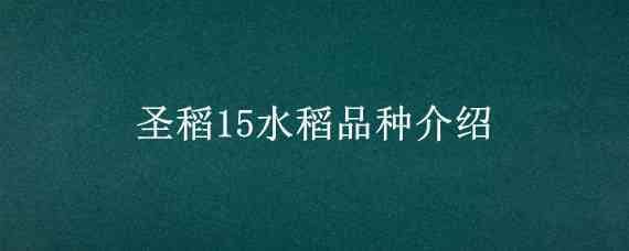 圣稻15水稻品种介绍 圣稻14号