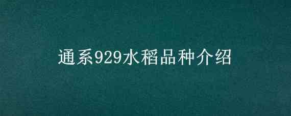 通系929水稻品种介绍（通系932水稻品种简介）