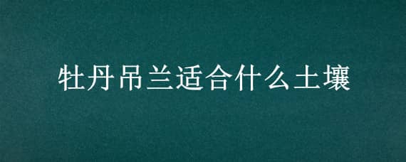 牡丹吊兰适合什么土壤 牡丹吊兰用什么盆栽好