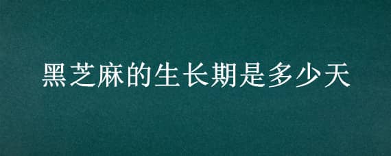 黑芝麻的生长期是多少天 黑芝麻的生长期多少天成熟