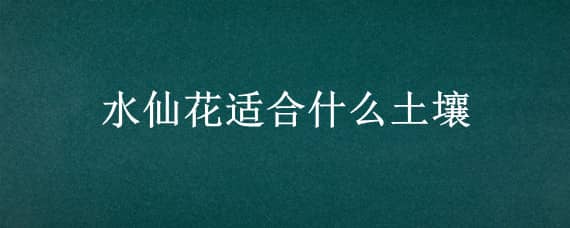 水仙花适合什么土壤（水仙花需要土壤或者是水吗）