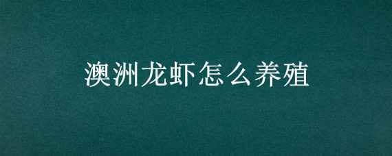 澳洲龙虾怎么养殖 澳洲龙虾怎么养殖才能旺盛