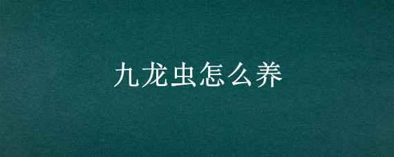 九龙虫怎么养 九龙虫怎么养繁殖最快