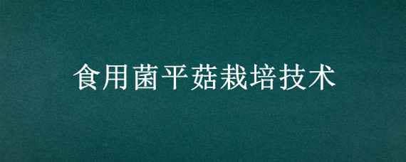 食用菌平菇栽培技术 食用菌平菇栽培技术要点