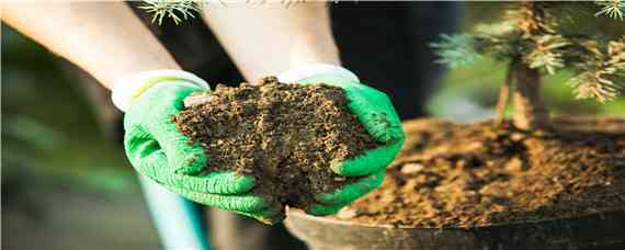 硼肥是什么肥料 含硼的肥料有哪些