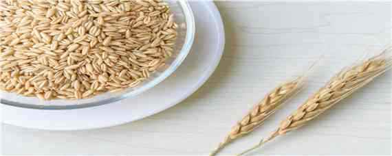 辛硫磷拌小麦种子怎样用 辛硫磷拌麦种怎么用