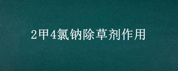 2甲4氯钠除草剂作用（2甲4氯钠除草剂作用打多了对水稻有什么危害）