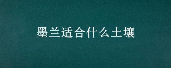 墨兰适合什么土壤 养殖墨兰用什么土壤比较好