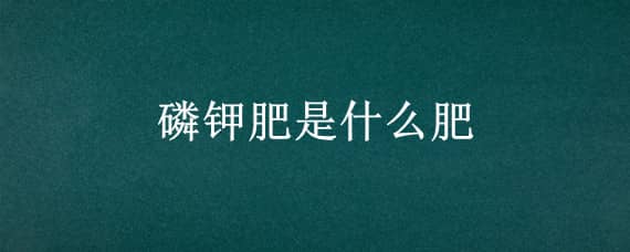 磷钾肥是什么肥（磷钾肥是什么肥怎样用法）