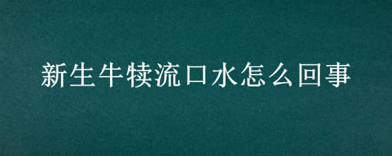 新生牛犊流口水怎么回事（犊牛嘴巴老是流口水）