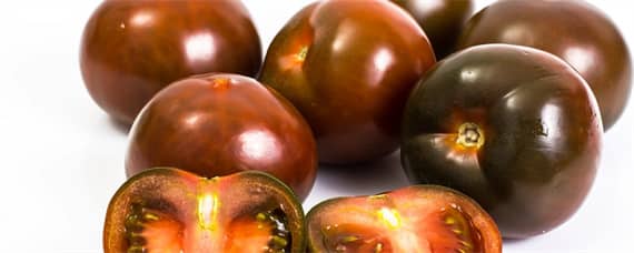 黑番茄的种植条件（黑番茄种植每日农经）