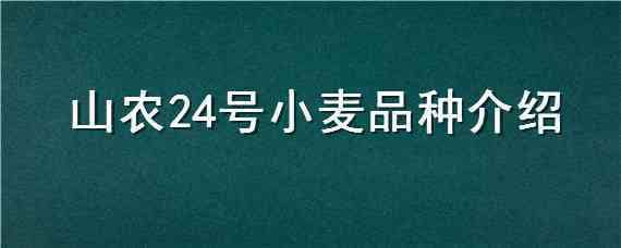 山农24号小麦品种介绍（山农24号小麦品种介绍视频）