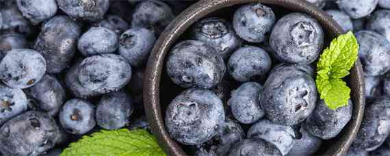 蓝莓种植需要什么条件（种蓝莓需要什么样的条件）