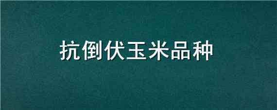 抗倒伏玉米品种 玉米种高产抗倒伏哪一种