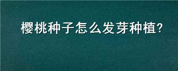 樱桃种子怎么发芽种植 樱桃盆栽的种植方法