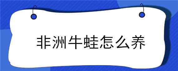 非洲牛蛙怎么养 非洲牛蛙怎么养长的快