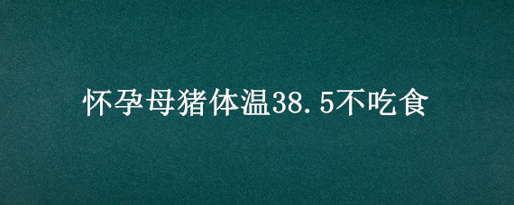 怀孕母猪体温38.5不吃食（怀孕母猪体温38.5不吃食有出血点）