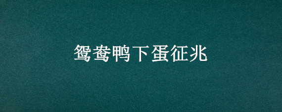 鸳鸯鸭下蛋征兆 鸳鸯鸭不下蛋怎么回事